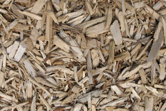 biomass boilers Burniere