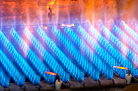 Burniere gas fired boilers
